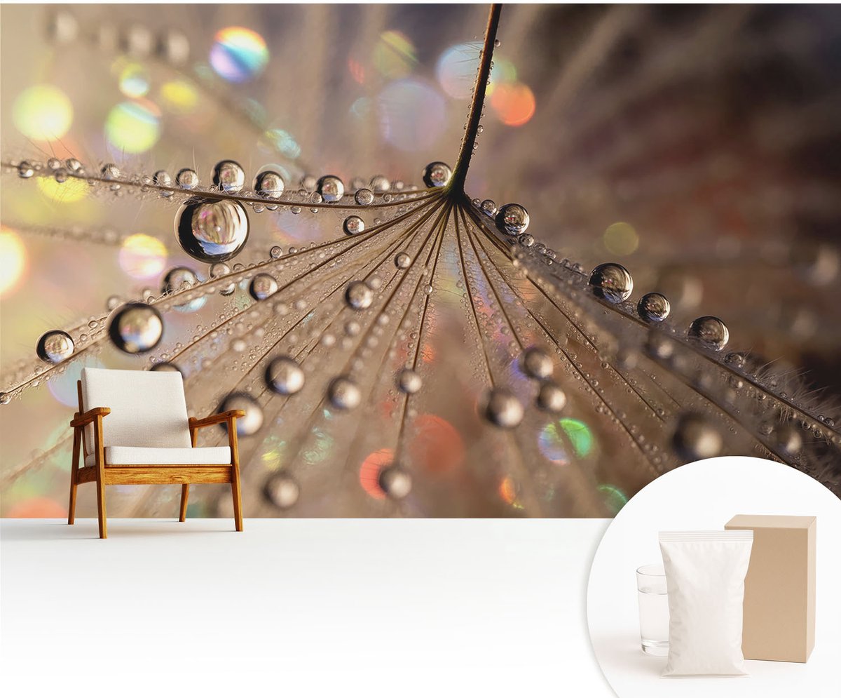 Wallfluent Fotobehang - Beige Vliesbehang - 416x254 cm - Pareldruppels Fotobehang Vlies - Hal behang Texturen - Muurschildering - Woonkamer behang