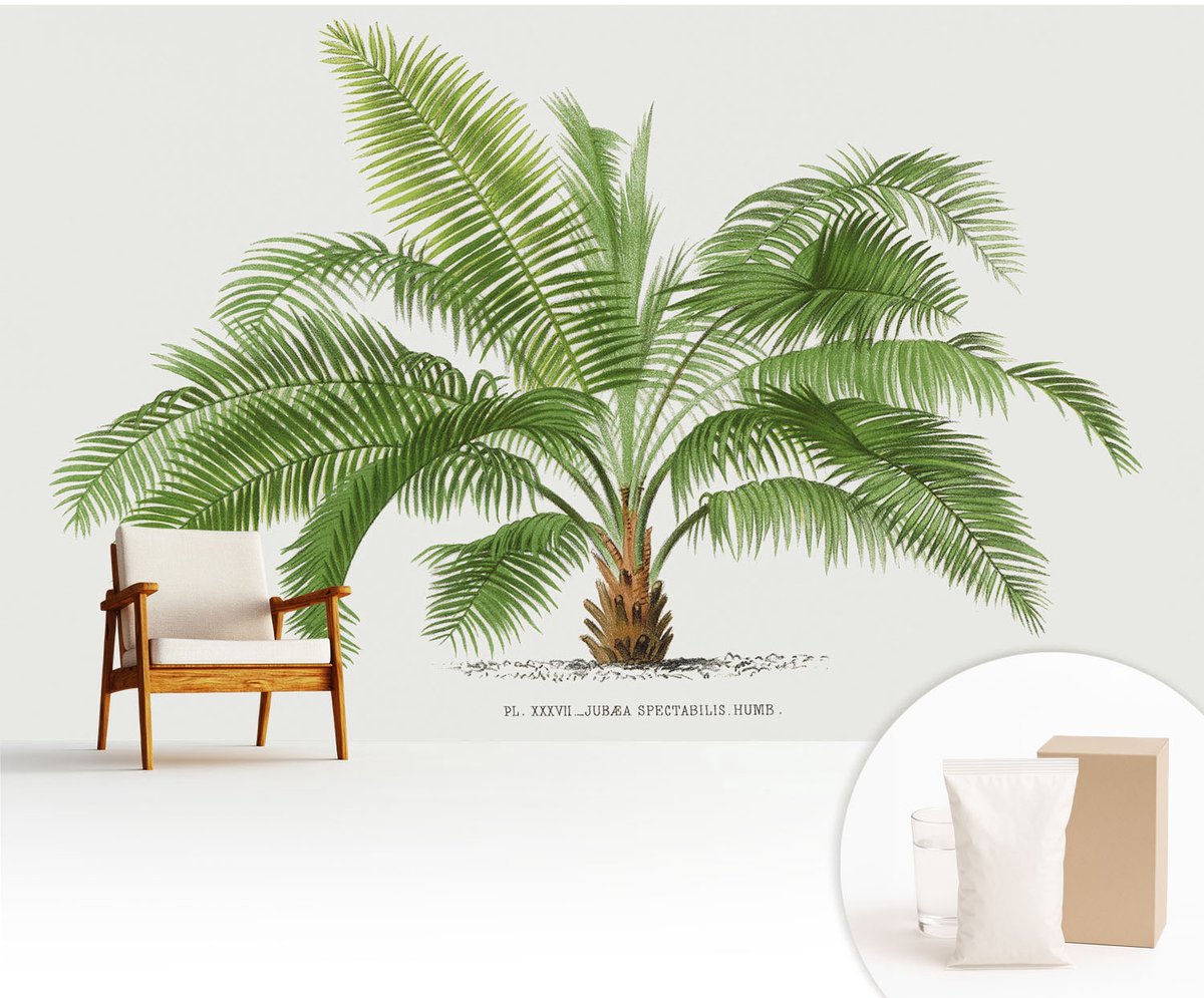 Wallfluent Fotobehang - Groente Vliesbehang - 416x254 cm - Glanzende Palmboom Fotobehang Vlies - Hal behang Bloemen En Planten - Muurschildering - Hal behang