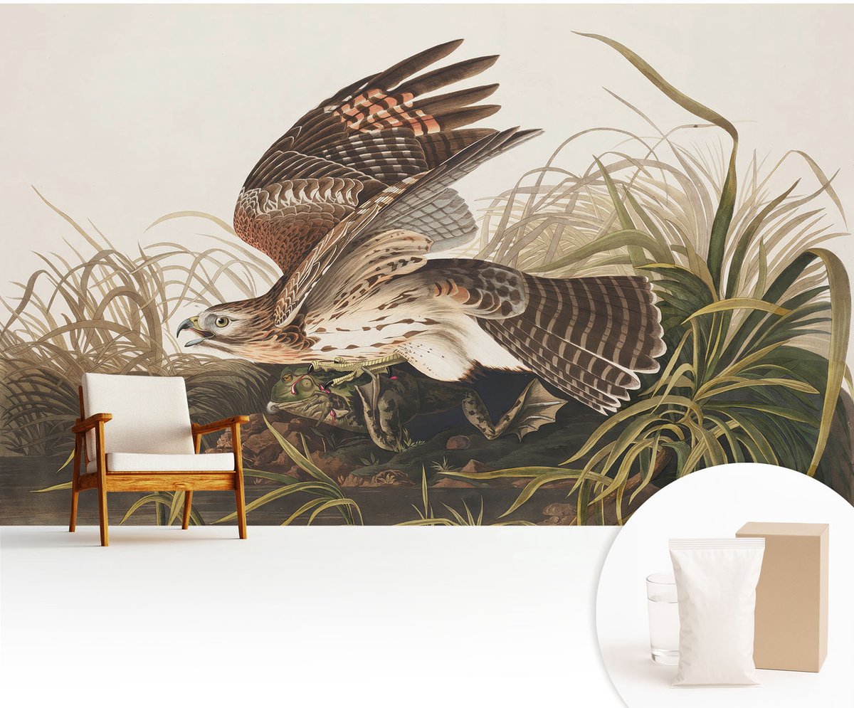Wallfluent Fotobehang - Grijs Vliesbehang - 416x254 cm - Gevleugelde Schoonheid Fotobehang Vlies - Woonkamer behang Dieren - Muurschildering - Woonkamer behang