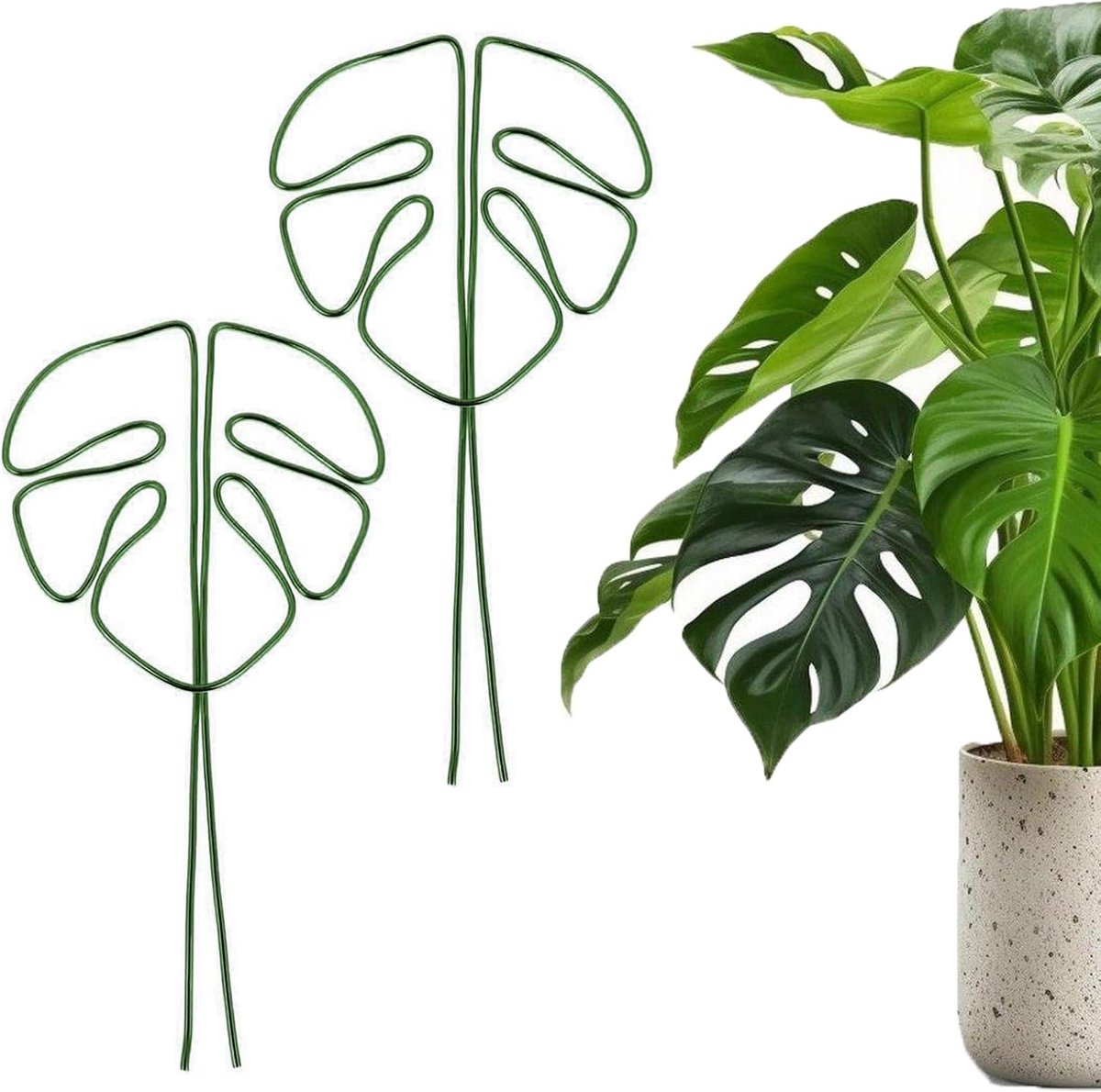 Plantensteun, set van 2, aluminium met uniek bladdesign voor kamerplanten, veelzijdige stengelsteun voor Alocasia en Monstera (groen)