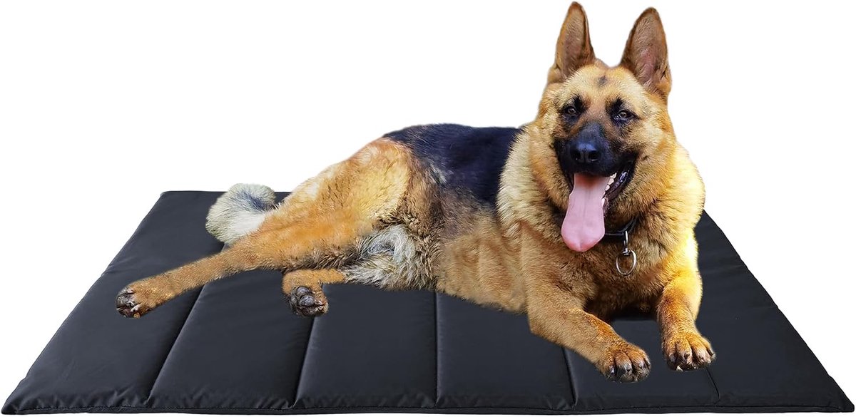 120 x 70 cm, machinewasbaar, hondenbed voor reizen, camping, outdoor, zwart