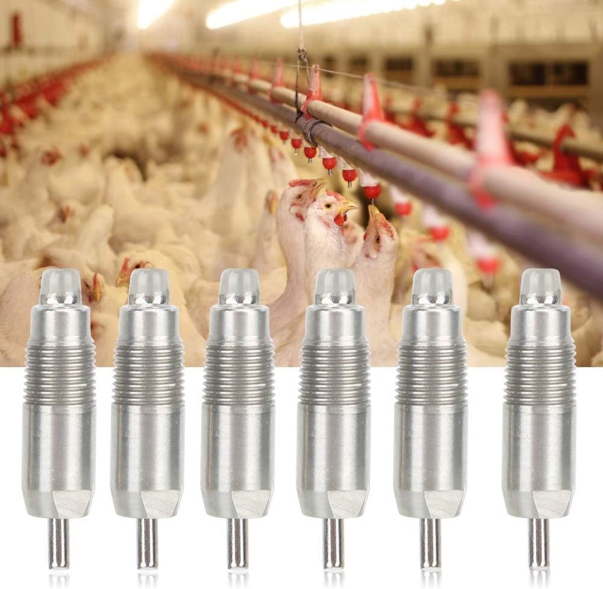 Kippendrank, roestvrij staal gevogelte kippel drinker feeder