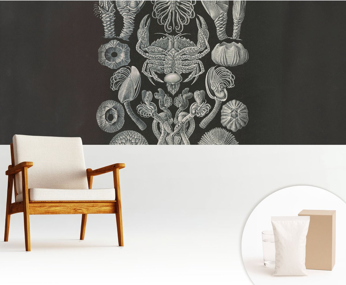 Wallfluent Fotobehang - Zwart Vliesbehang - 250x104 cm - Onderwatervormen Muurschildering - Slaapkamer behang Abstractie - Fotobehang Vlies - Gang behang