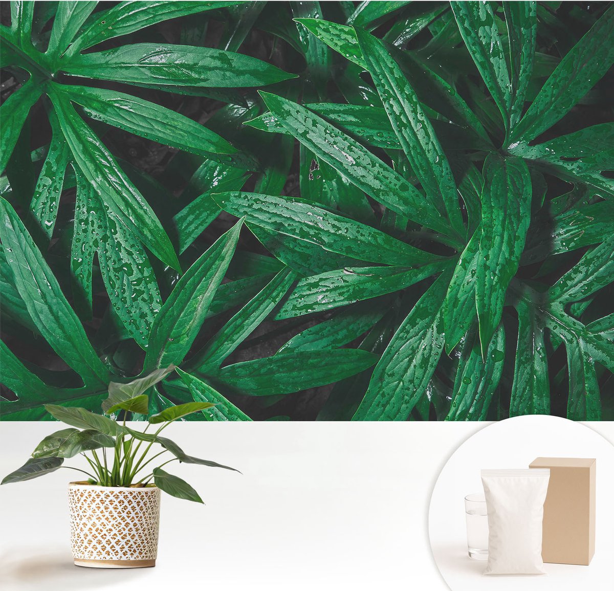 Wallfluent Fotobehang - Groente Vliesbehang - 152x104 cm - Natuurlijke Begroeiing Fotobehang Vlies - Hal behang Bloemen En Planten - Muurschildering - Woonkamer behang