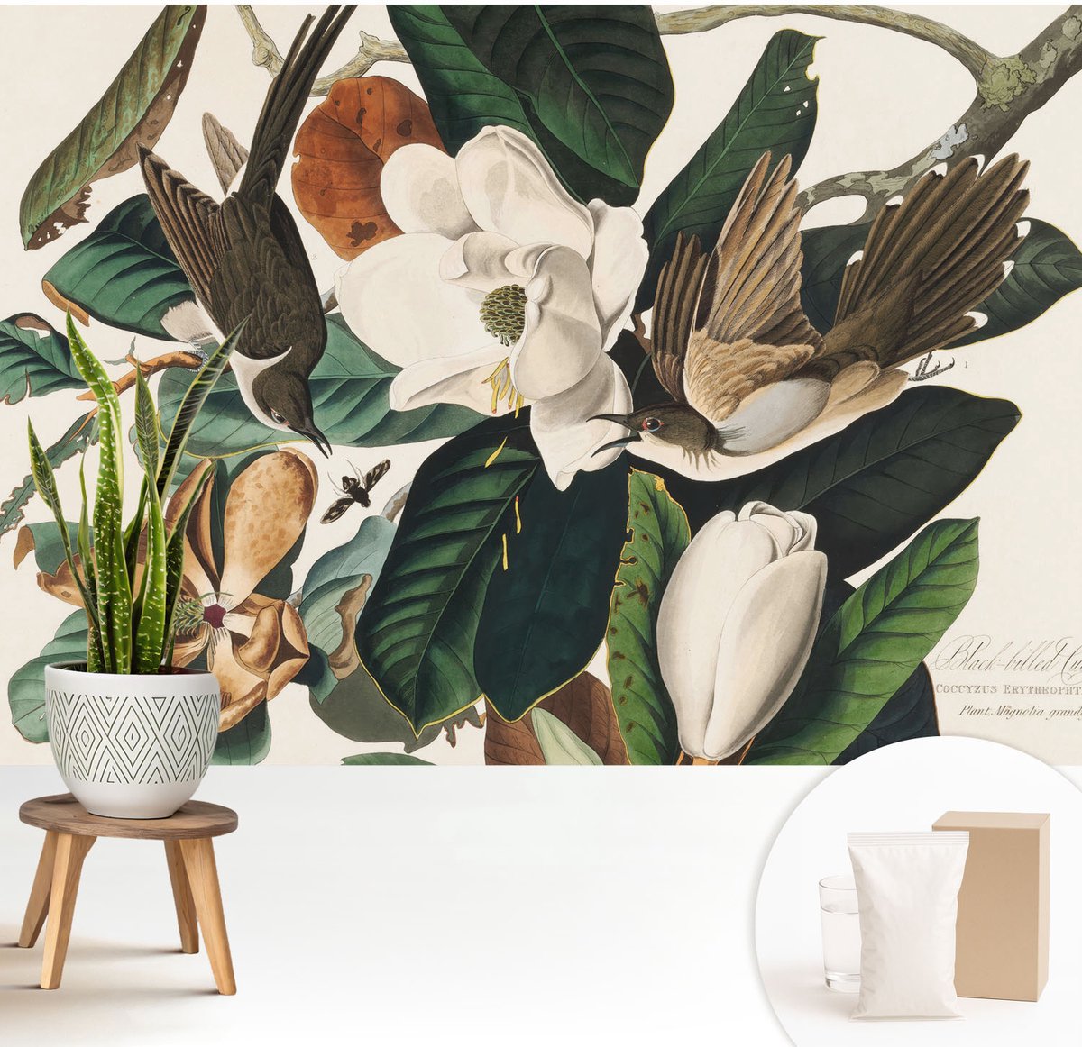 Wallfluent Fotobehang - Groente Vliesbehang - 208x146 cm - Vogels Magnolia'S Muurschildering - Gang behang Dieren - Fotobehang Vlies - Slaapkamer behang