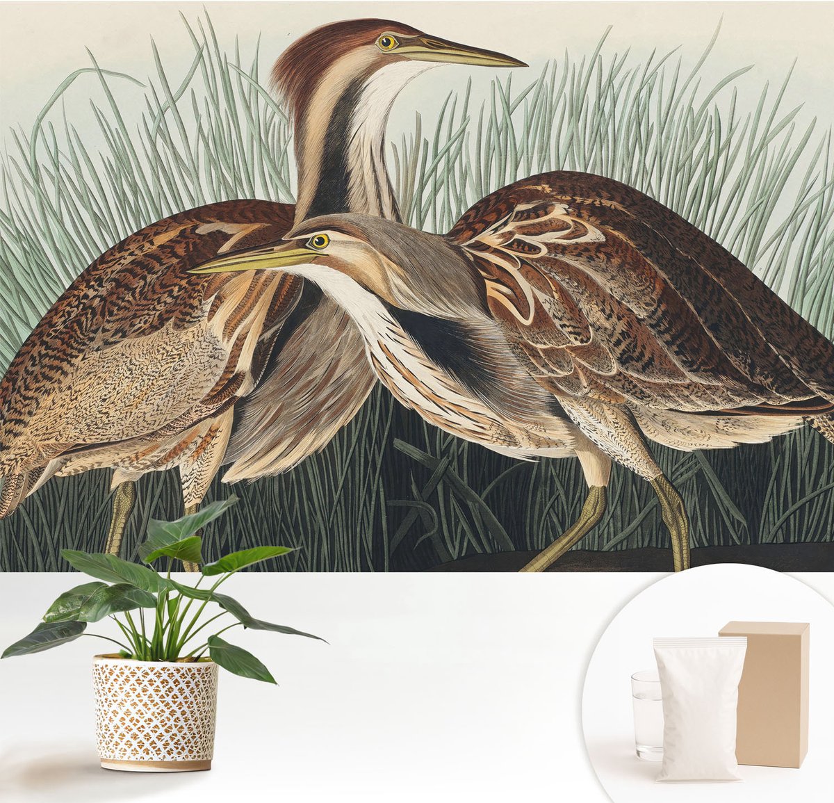 Wallfluent Fotobehang - Bruin Vliesbehang - 152x104 cm - Realistische Vogels Muurschildering - Slaapkamer behang Dieren - Fotobehang Vlies - Slaapkamer behang