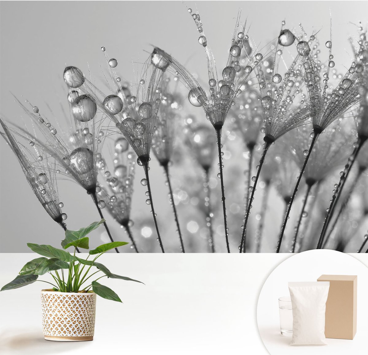 Wallfluent Fotobehang - Wit Vliesbehang - 152x104 cm - Natte Delicatesse Muurschildering - Slaapkamer behang Bloemen En Planten - Fotobehang Vlies - Slaapkamer behang