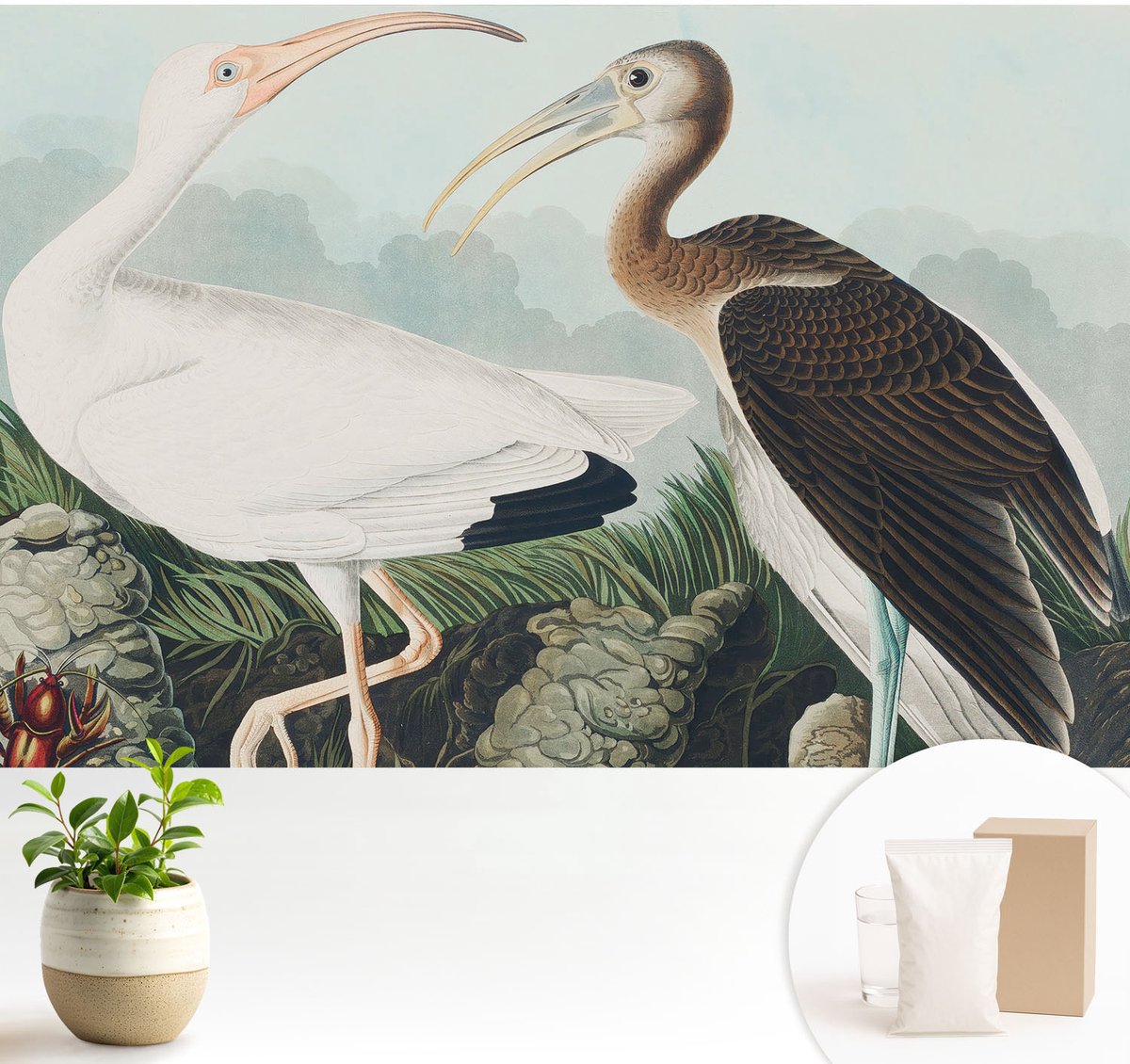 Wallfluent Fotobehang - Wit Vliesbehang - 104x70 cm - Vogelpaar Muurschildering - Slaapkamer behang Dieren - Fotobehang Vlies - Slaapkamer behang