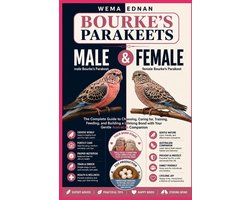 Bourke's Parakeets