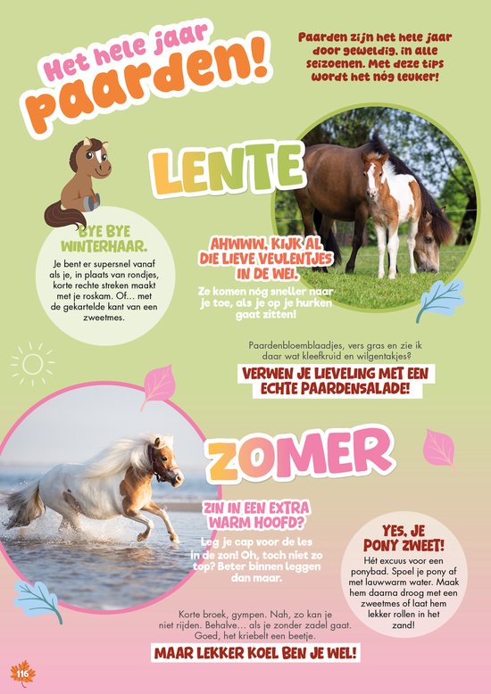 Twee pony's in een wei en een pony die in water rent.