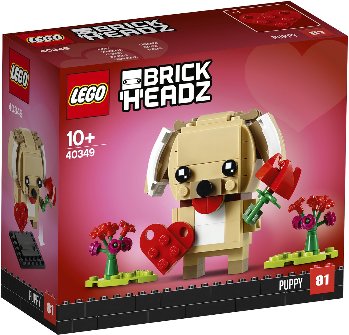 Valentijnspuppy