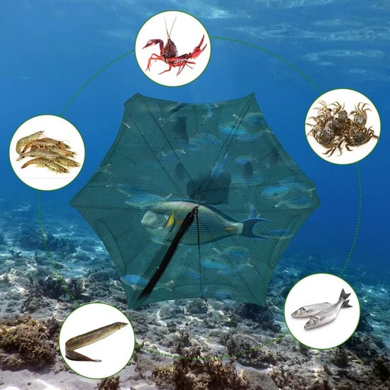 Visval voor vissen, 6 gaten, opvouwbare aasvisval, nylon korf, groot visnet voor minnow, kreeften en krabben — afbeelding 5