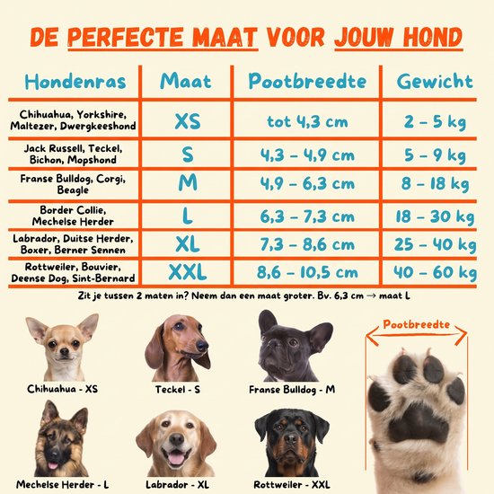 Maattabel voor hondensokken met gewicht en pootbreedte per hondenras, inclusief illustraties van verschillende rassen.