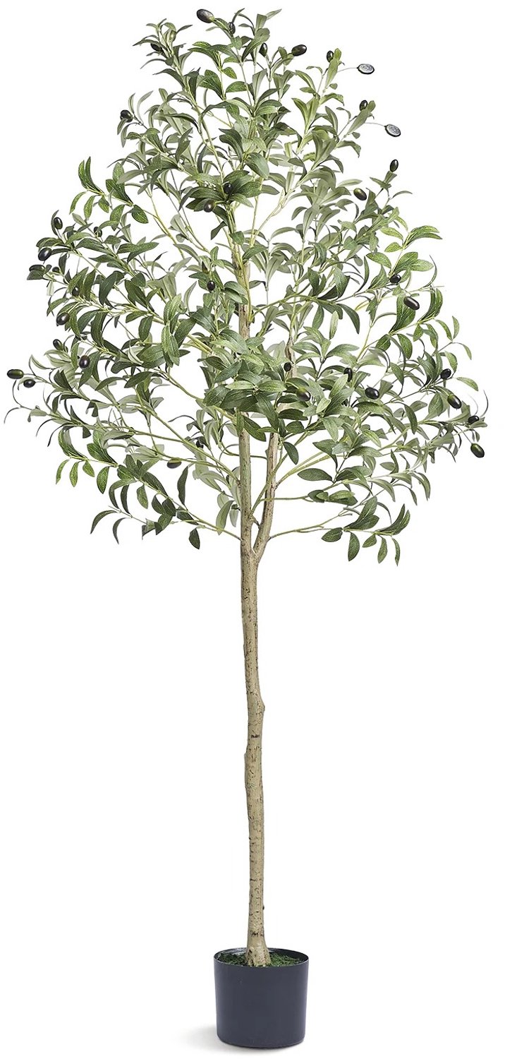 Veya Olijfboom - Kunst - Kunstplanten voor binnen - Kunstplant - In pot - 179cm h - Met decoratieve mosafwerking - Stijlvol