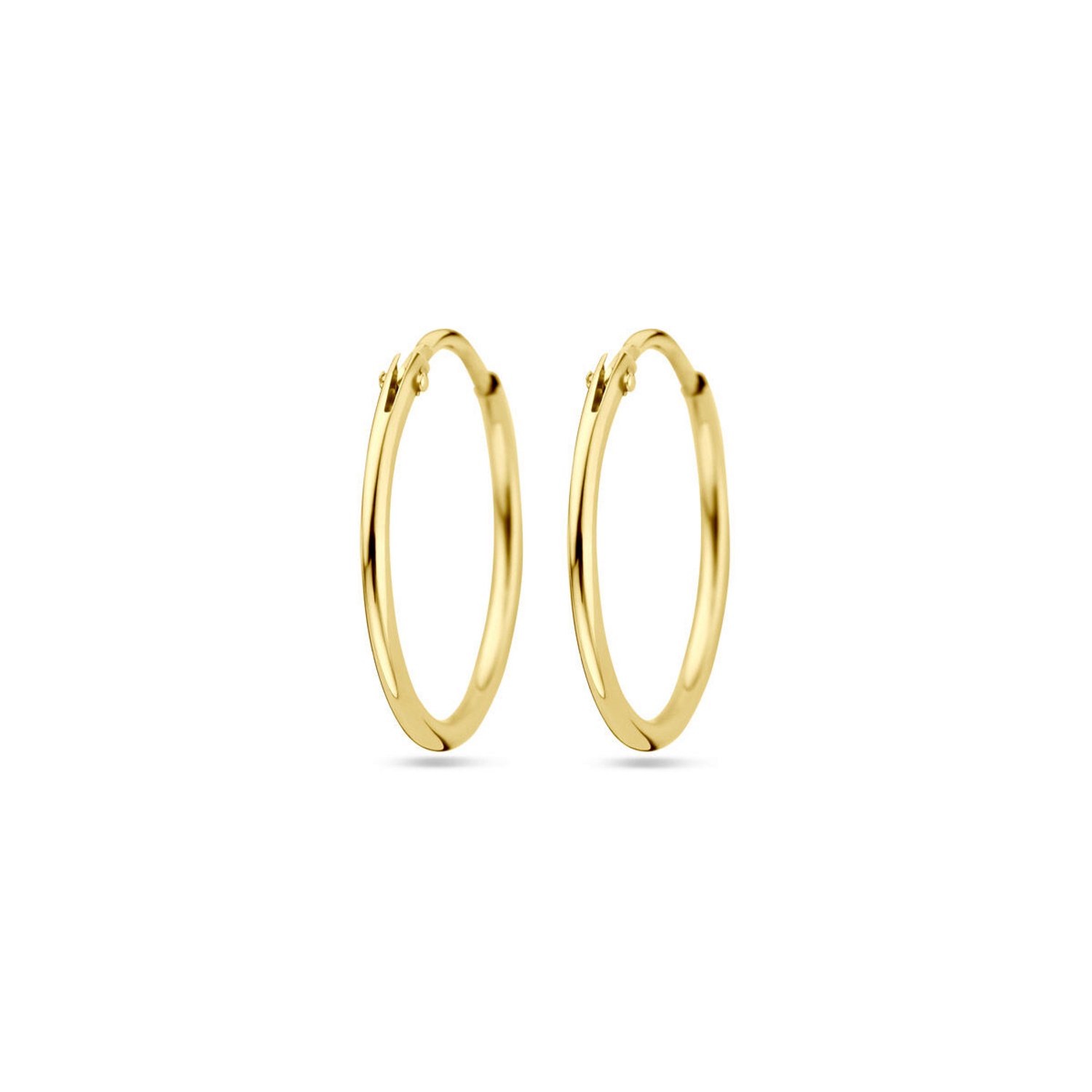 Gouden oorbellen 4018324