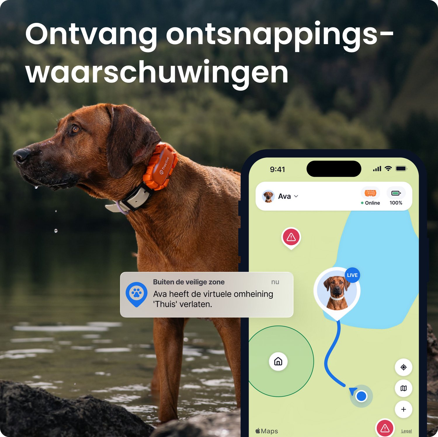 Tractive DOG 6 XL Adventure Edition – Slimme GPS-tracker voor honden met monitoring van vitale waarden & gezondheidswaarschuwingen, 6 weken batterijlevensduur – Oranje thumbnail 4