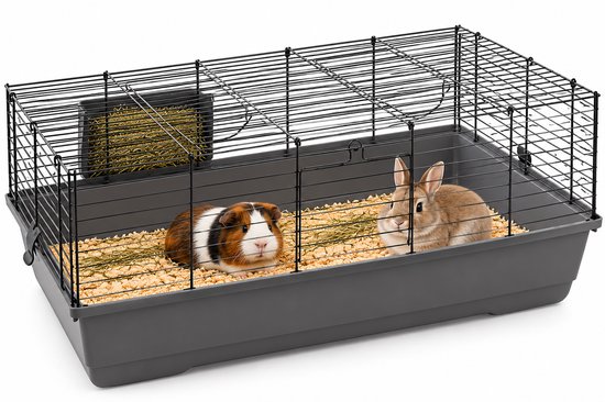 Zwarte metalen kooi met grijze bodem, inclusief hooiruif, een cavia en een dwergkonijn op bodembedekking.