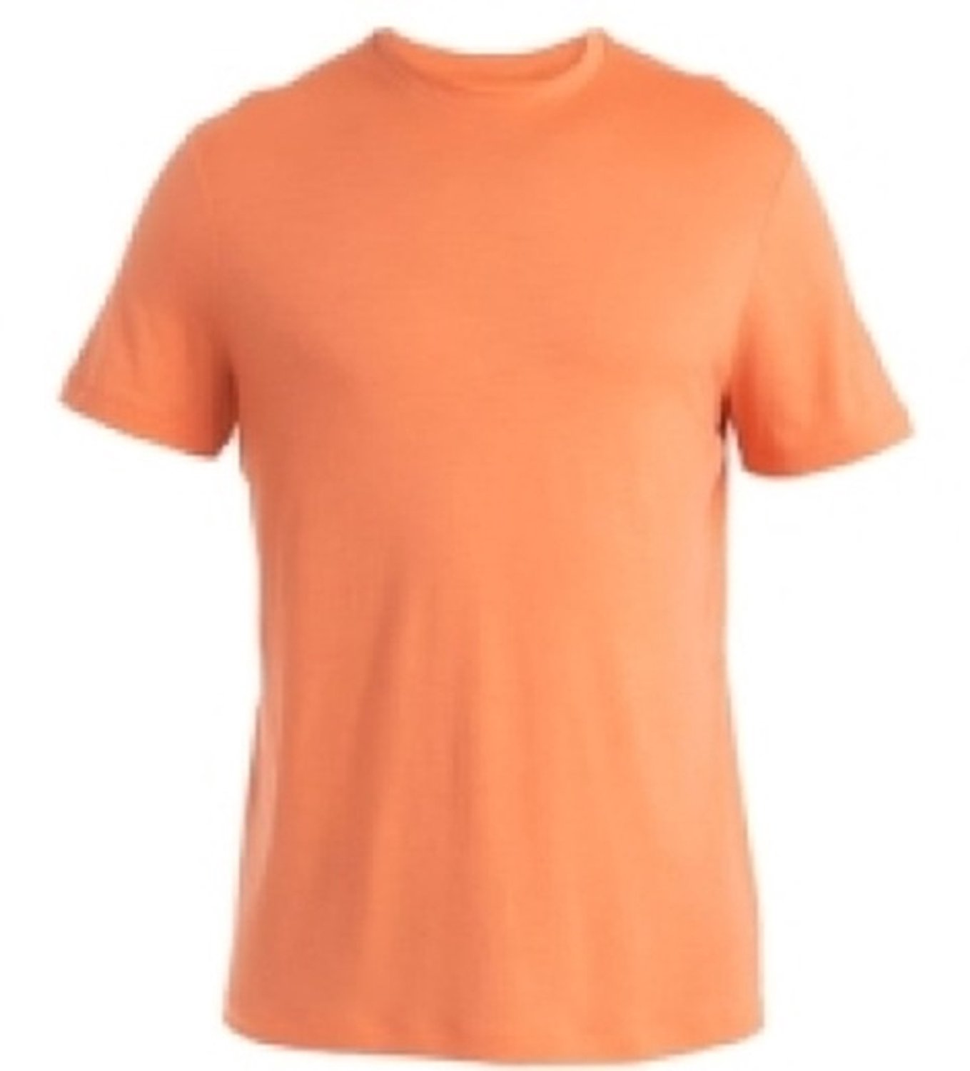 Icebreaker Merino 150 Tech Lite Iii T-shirt Met Korte Mouwen Man Ember