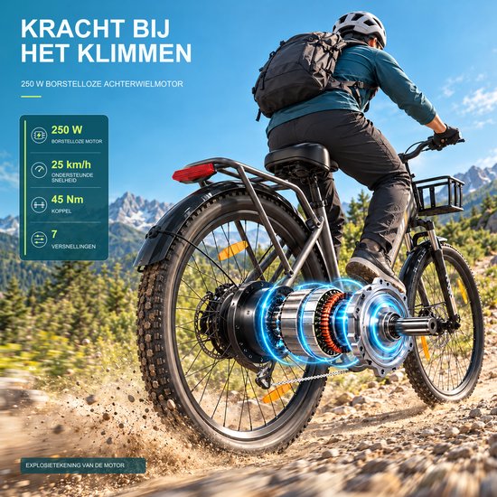 Runetic 26” Elektrische Fiets - Motor 250W - Actieradius 100km - 36V 13AH Verwijderbare Batterij - 25KM/H - Grijs — afbeelding 4