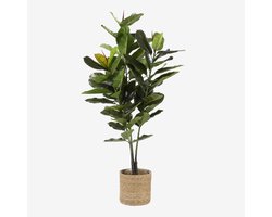 Plantenbak Atlantic Lichtbruin