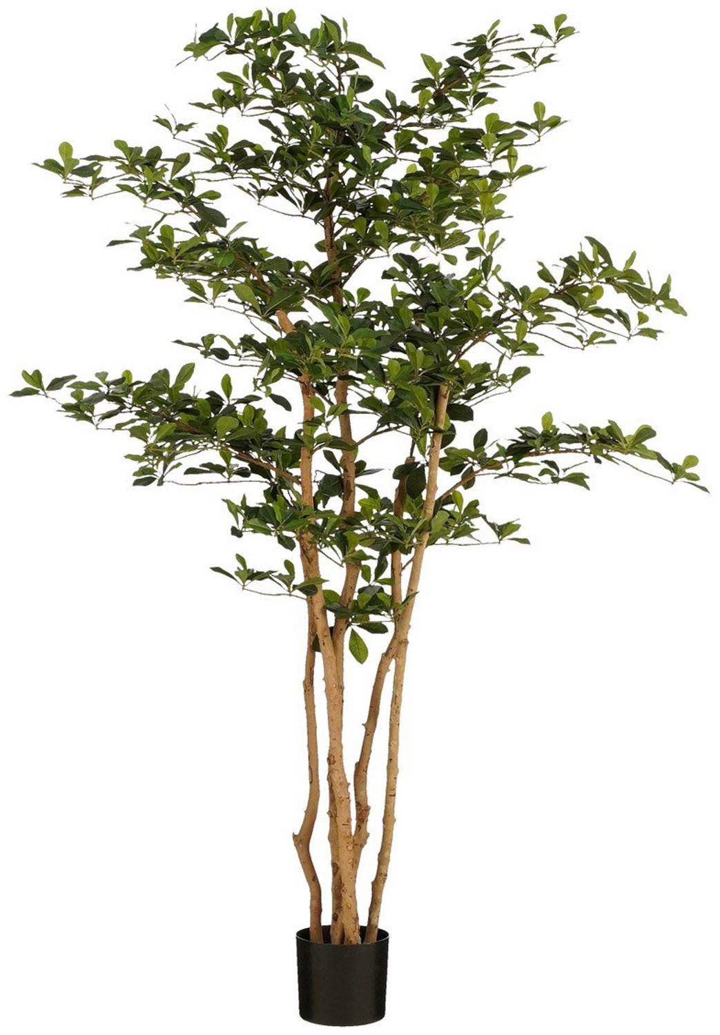 Kunstplant Groen