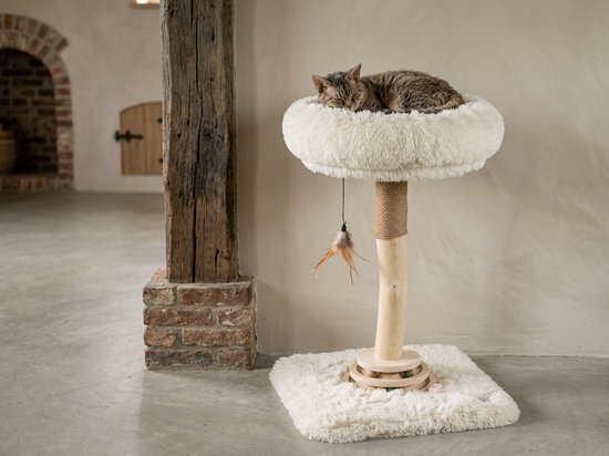Grijze kat slaapt op een crèmekleurige Studio RAR krabpaal met houten stam en speelgoed, in een woonkamer.