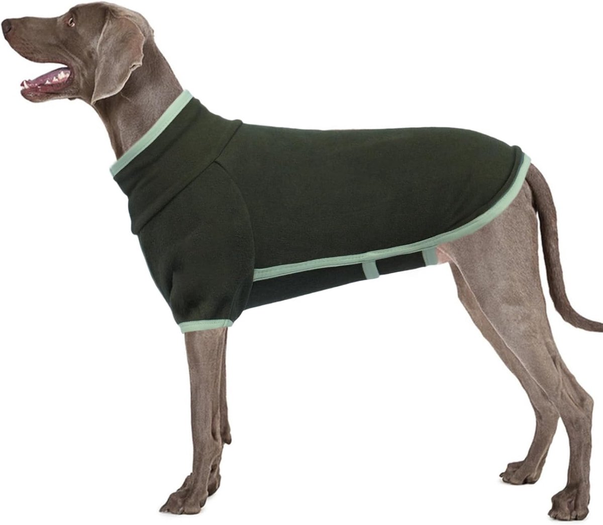 Truien coltrui winter warme jas zacht fleece vest sweatshirt sneeuwjas hond warme kleding pyjama (legergroen, XL)