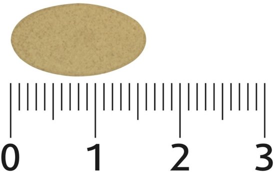 Een tablet naast een liniaal, de tablet is ongeveer 1,3 cm lang.