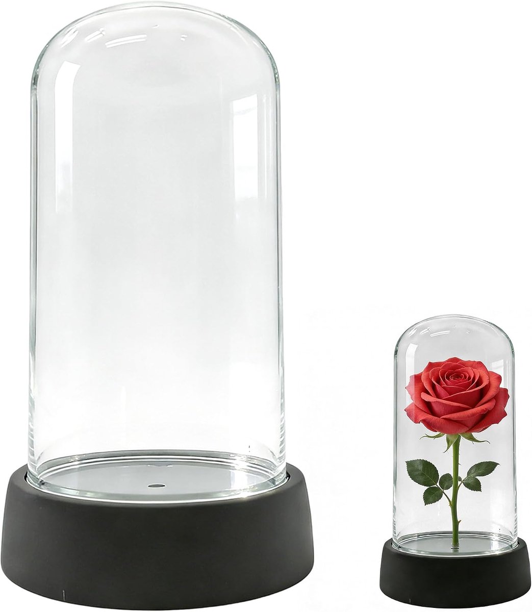 Dailygoods- Bloem Display Hoge Koepel - Acryl Decoratief