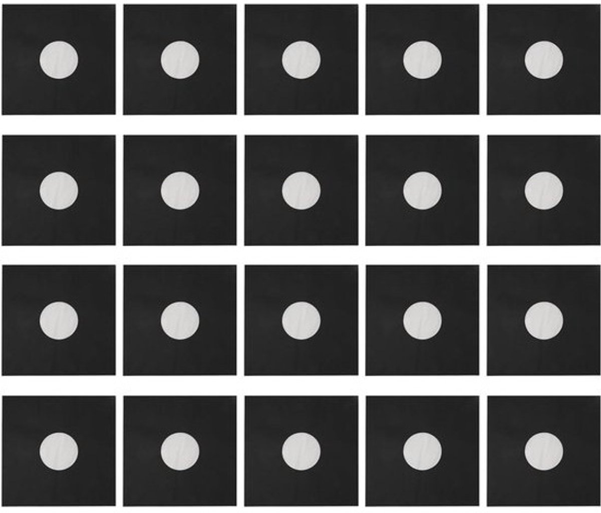 Papieren Platenhoezen - Vinyl Beschermers - Opslag Muziek - Antistatisch Materiaal - 20 Stuks - Zwart