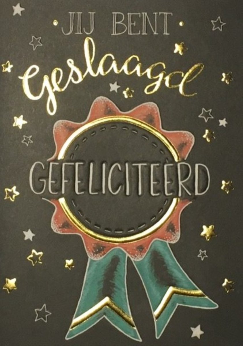 Luxe Wenskaart Geslaagd - Wenskaarten - Geslaagdkaart - Slagen - Diploma - Serie Sketch'd - Artige - Kaart - 1 Stuks - In Folie - Gratis Verzonden - Hoge Afnamekortingen - 12x17cm
