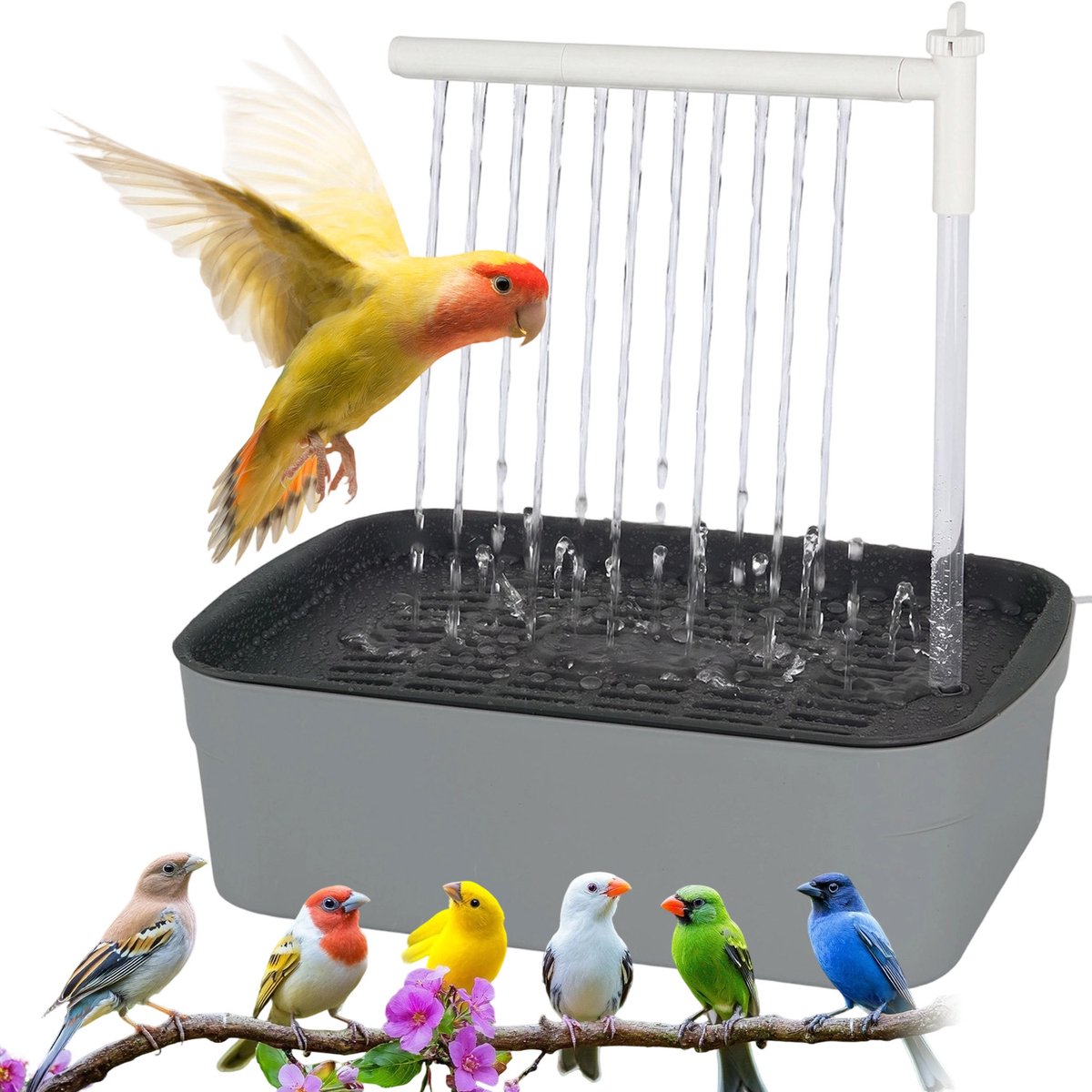 Vogelbad Automatisch - Vogeldouche Elektrisch - Bird Bath met Waterpomp - Badkuip met Douche - Automatische Circulatie - Stille Werking - USB - Vogelbadfontein - Voor Papegaaien & Siervogels - Grijs