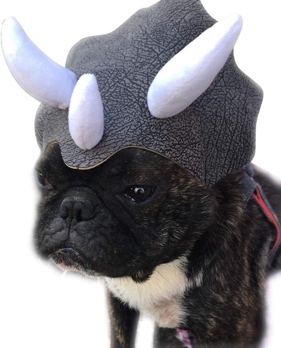 Hondenkostuum huisdier Halloween dinosaurus hoed met elastische band grappige huisdierkleding voor hond kat (zwart)