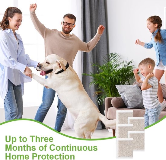 Een familie met een hond viert feest in een woonkamer. Rechtsonder vier kleine beige tapijttegels. De tekst zegt: 'Up to Three Months of Continuous Home Protection'.