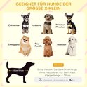 Illustratie van geschikte kleine hondenrassen voor het hondenhok: Chihuahua, Yorkshire, Pinscher, Pomeriaan, Toy Poedel, Maltezer.