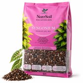 Terreau Norrsoil pour fougères 5L – Terreau Premium pour Fougères, Lierre (Hedera) et Plantes d'intérieur Vertes – Sans Tourbe – 180 Jours de Nutrition Organique