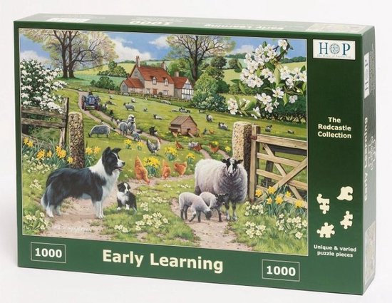 Puzzle - 1000 pièces - Early Learning - House of Puzzles