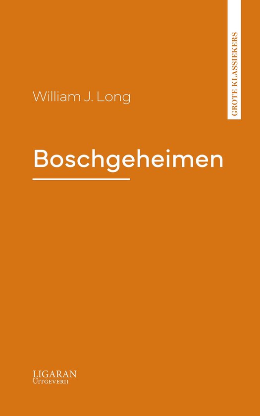 Boschgeheimen - cover