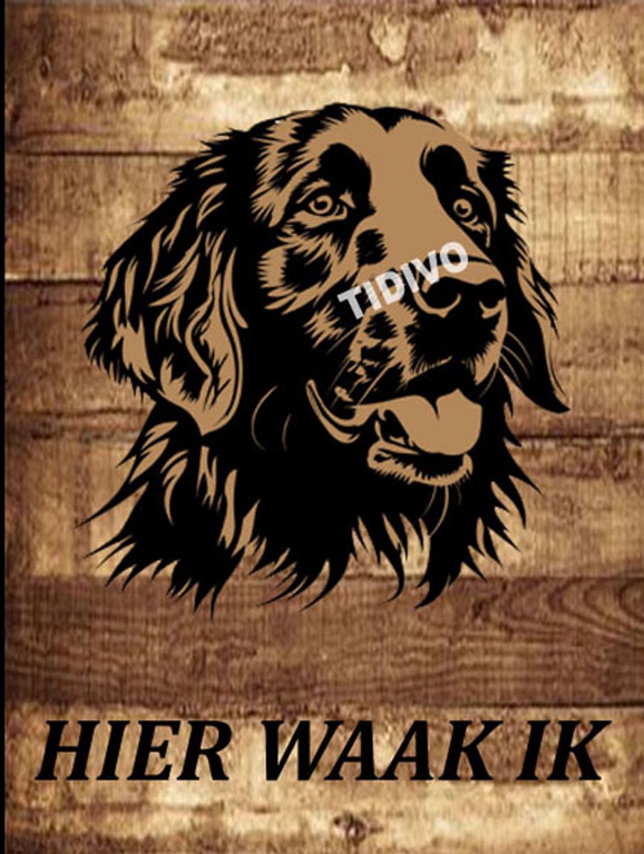 Flatcoated Retriever 20