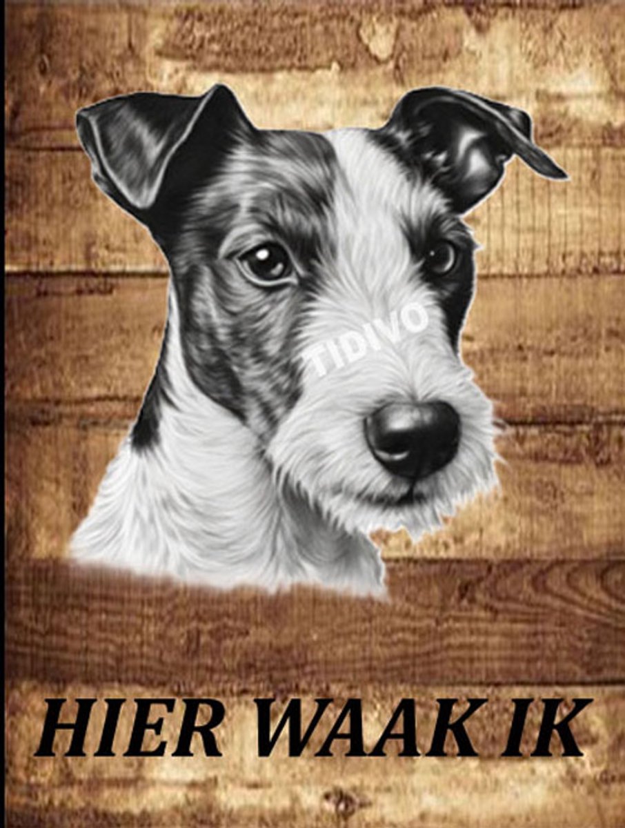 Fox Terrier 20
