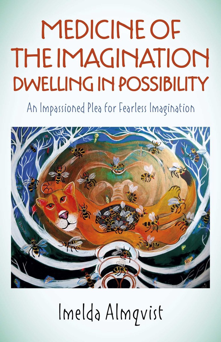 Omslag van Medicine of the Imagination: Dwelling in Possibility
