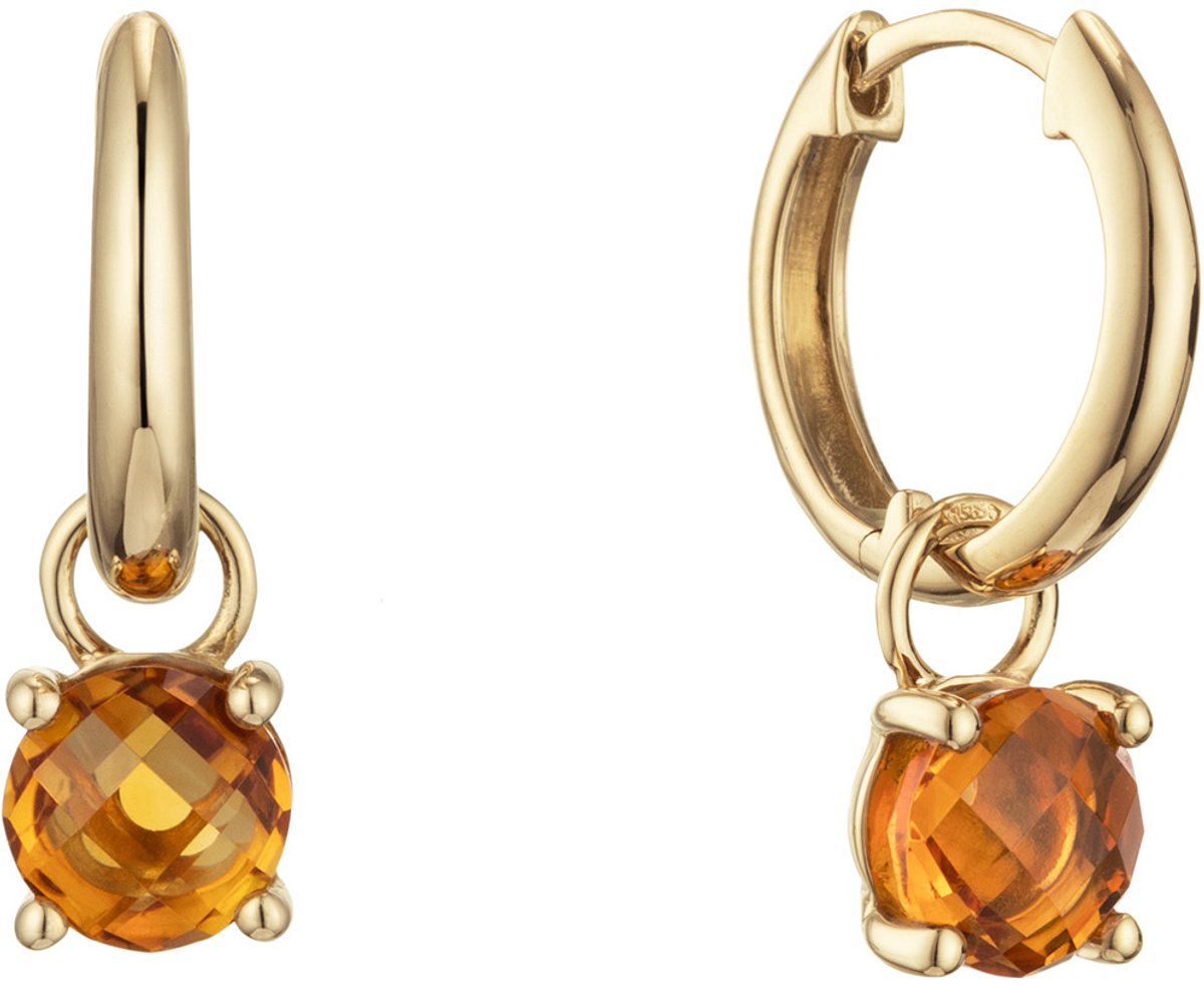 Glow 207.2304.00 Elements Of Love Dames Oorbellen - Oorringen - Sieraad - 14 Karaat Goud