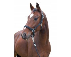 Covalliero Kantar voor Paarden - Dexter - Zwart - Maat XXFull