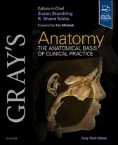 Gray's Anatomy- Gray's Anatomy