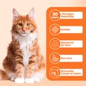 Grote oranje kat met witte borst en poten, zittend, naast oranje iconen over de kenmerken van de mat.