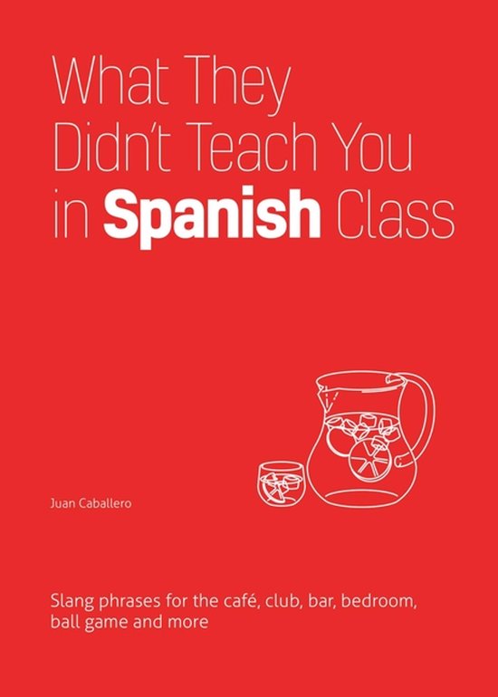 What They Didn't Teach You In Spanish Class - cover