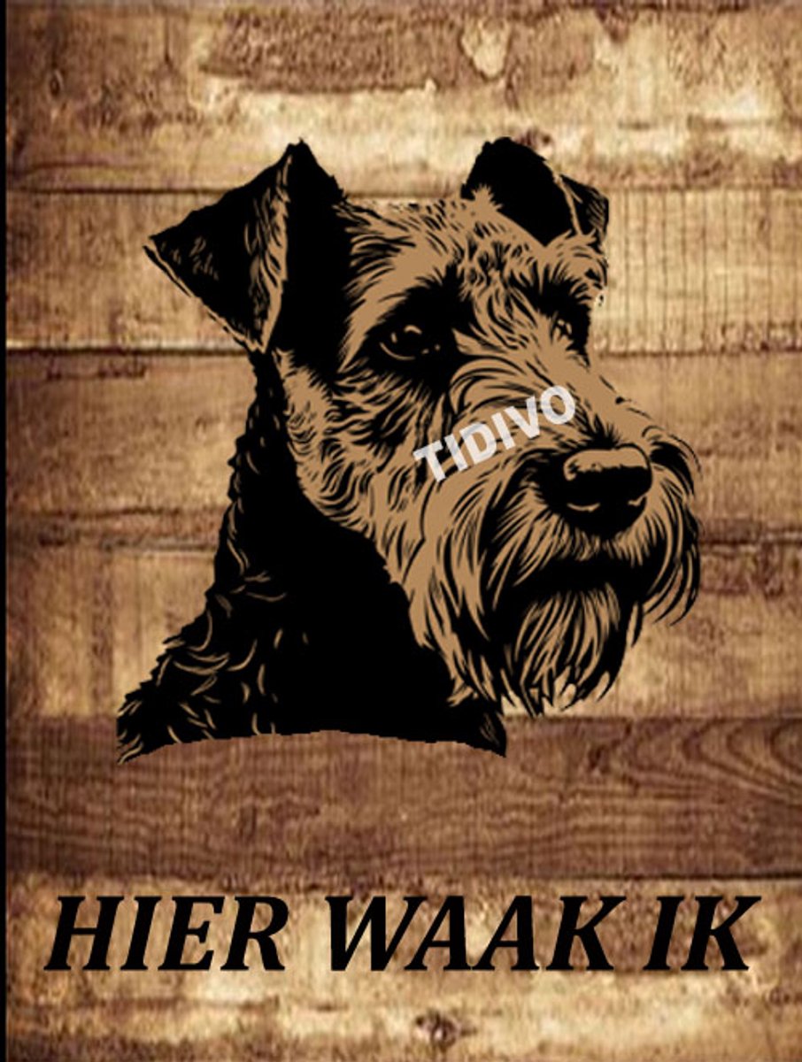 Welsh Terrier 20