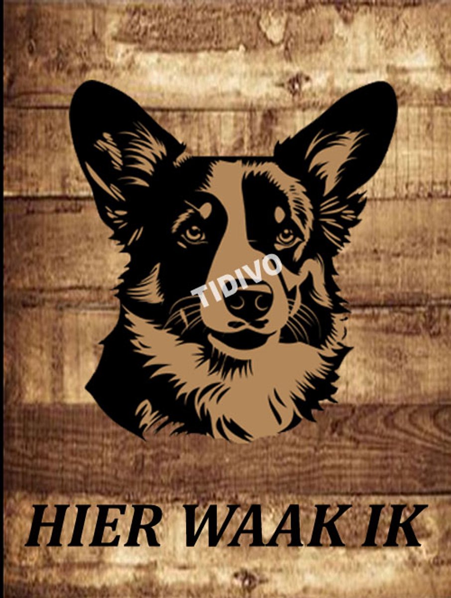 Welsh Corgi 20