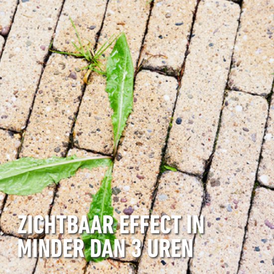 COMPO Anti-Onkruid & Anti-Mos Spray Opritten & Paden - natuurlijke ingrediënten - eerste resultaten binnen 3 uur - spray 750 ml (7,5 m²) van Merkloos	 — afbeelding 3