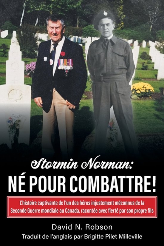 Stormin Norman - cover